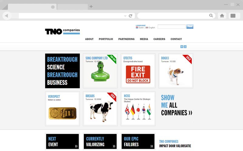 Past project: Website Tno Companies